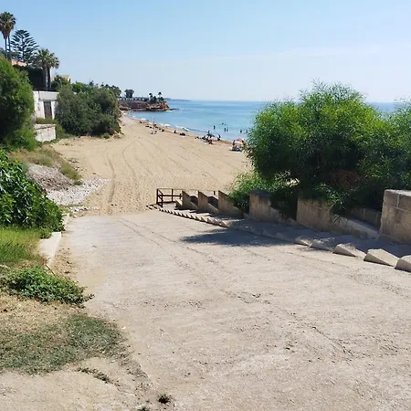 Mare Monti